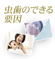 虫歯のできる要因