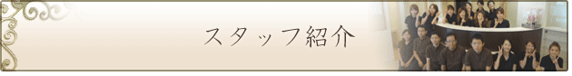スタッフ紹介